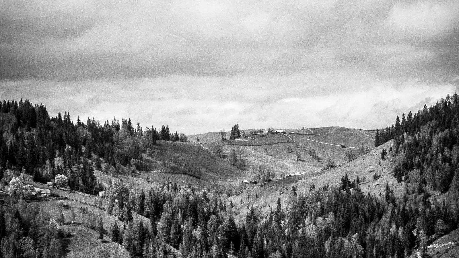 Peptid Takip Cihazı Vaka Modeli İncelemesi: Tekrarlayan Dokümantasyon Arıza Modlarını Erken Bulun