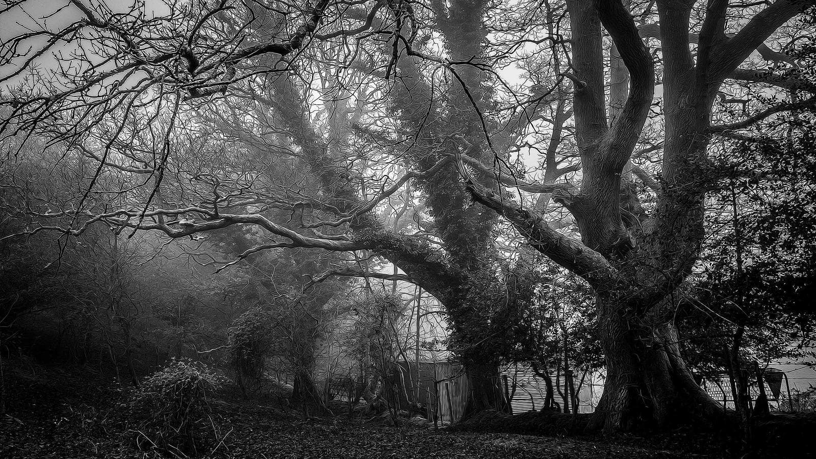 Cuadro de mando de integridad de la señal de Peptide Tracker: un modelo de gobernanza para revisiones semanales más claras