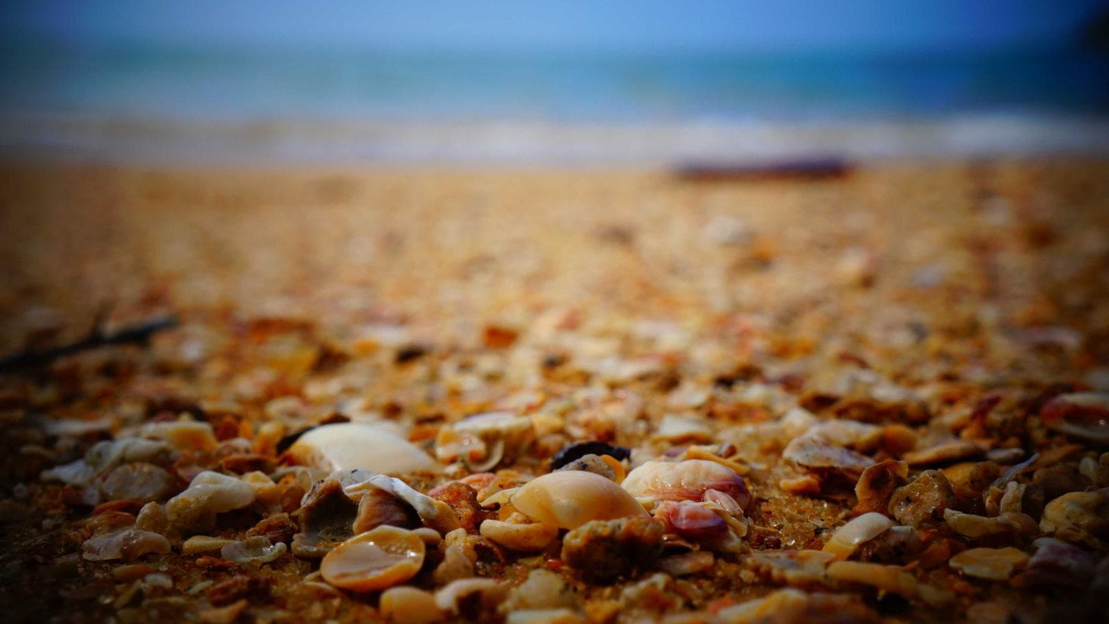 Peptide Tracker Six-Cycle Protocol Timeline für Confounder-bewusste Dokumentation