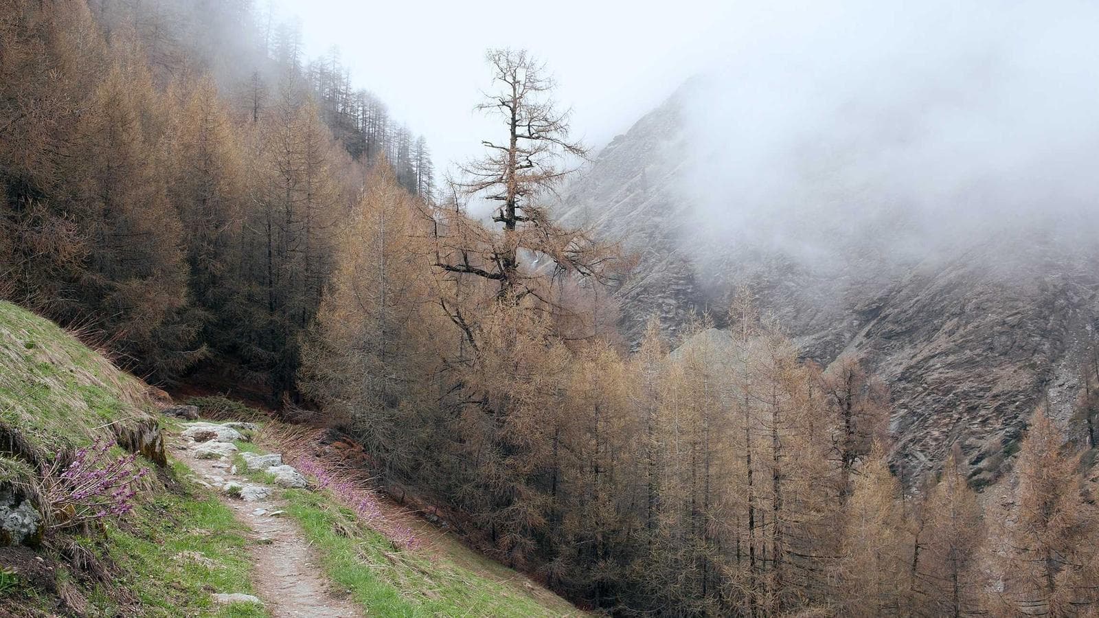 Peptide Tracker Privacy-by-Design-Bedrohungsmodell: Reduzieren Sie das Risiko der gemeinsamen Nutzung, ohne das Signal zu verlieren